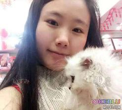  约了好久才约出来的美乳小月迷晕后被轮奸